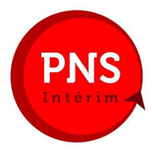 logo_pns_interim