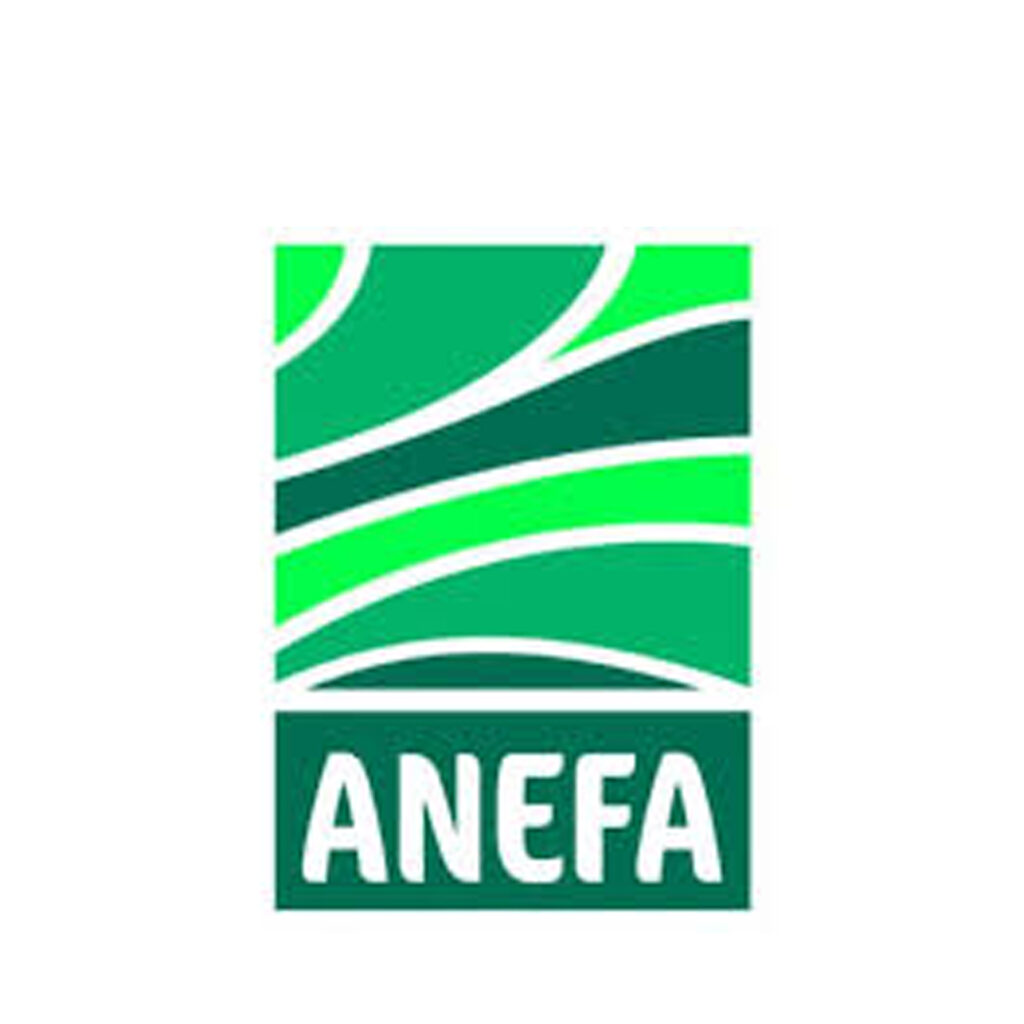 logo_anefa